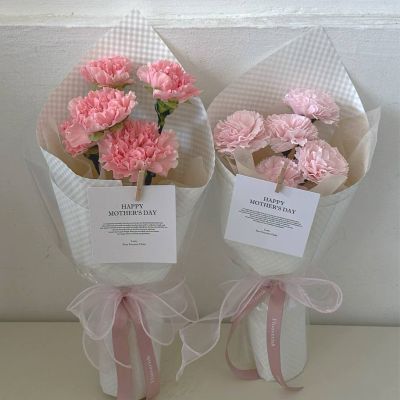 mini carnation