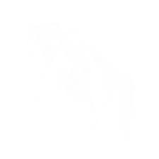 ELVY'S SPRINGROLL (JB)