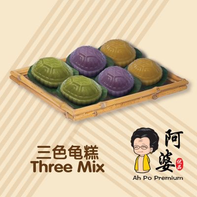 [FRI]三色龟糕 Three Mix Ang-Gu-Kuih