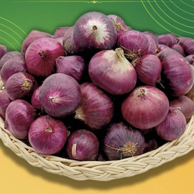 Bawang Ros Timbang 元葱 Indian Shallot