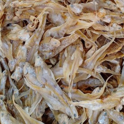IKAN MASIN BULU AYAM（KERING ）凤尾（干）