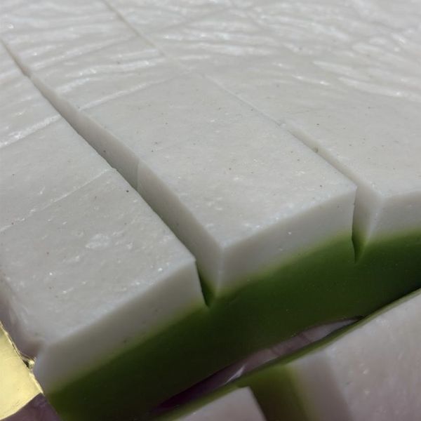 Talam Pandan