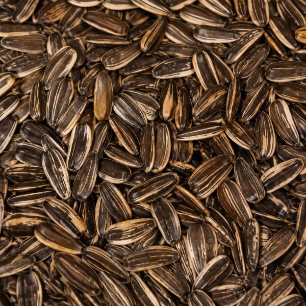 Sunflower Seeds
