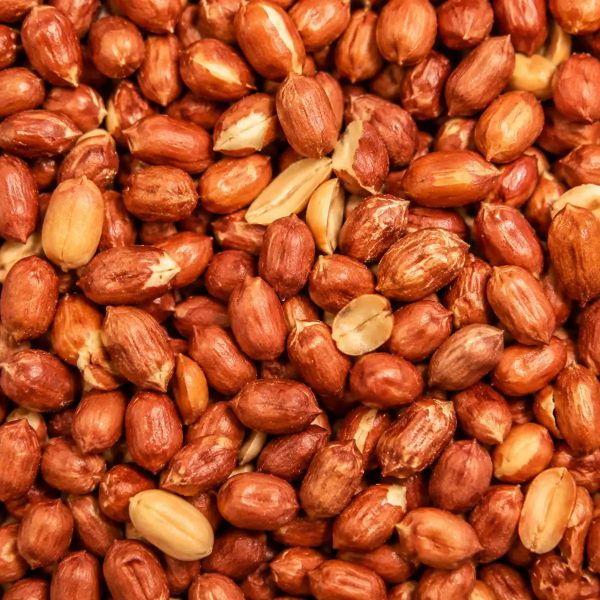 Roasted Peanuts