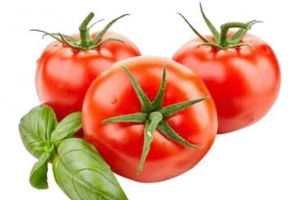 Red Tomato