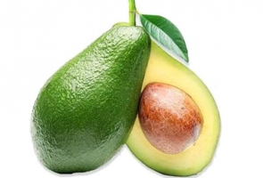 Japan Avocado