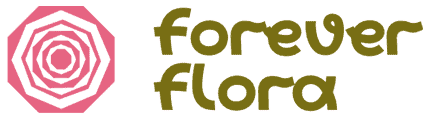 爱花唯久 Forever Flora