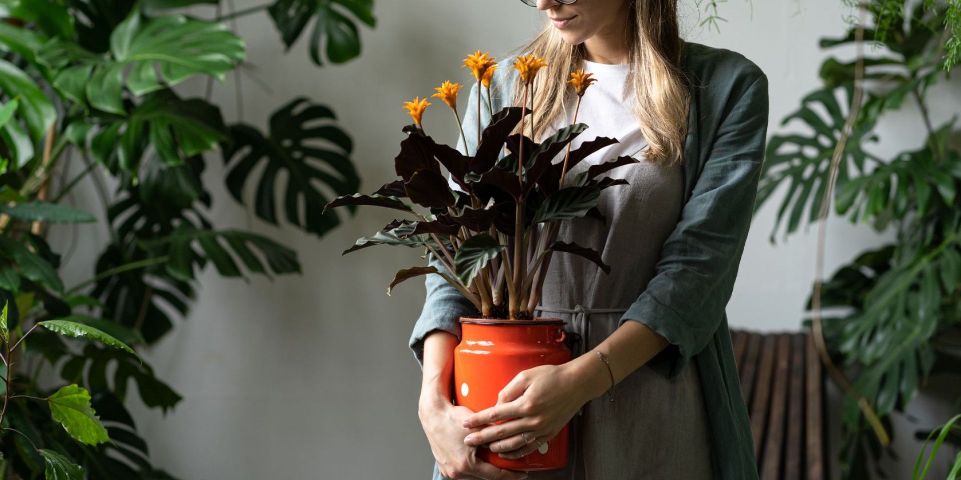Grow What You Love