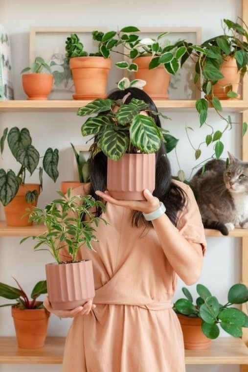 PLANT THAT SPEAK