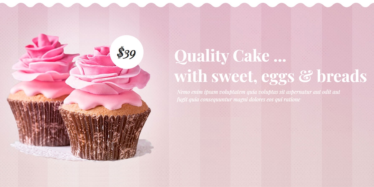 Cakecious Bakery