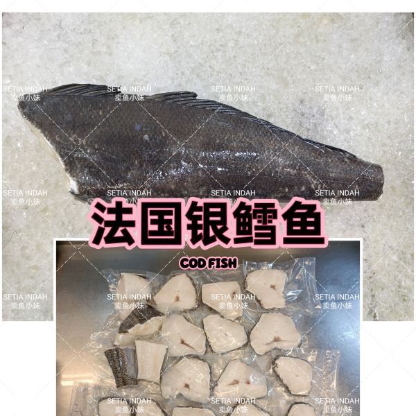 法国银鳕鱼 Cod Fish