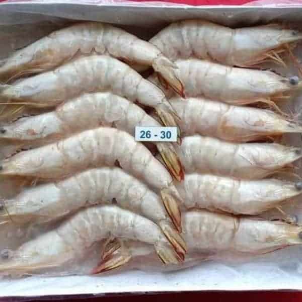 野生明虾 Sea Prawn  26／30
