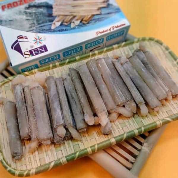 竹蛏 Bamboo Clam