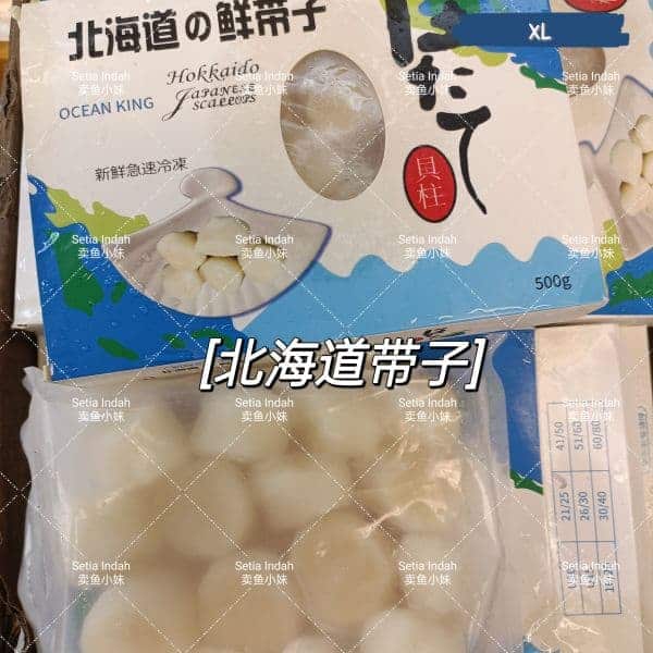 Hokkaido Scallop 北海道带子