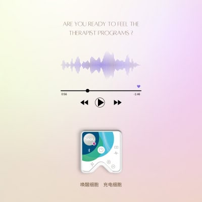 Healy Therapist Programs