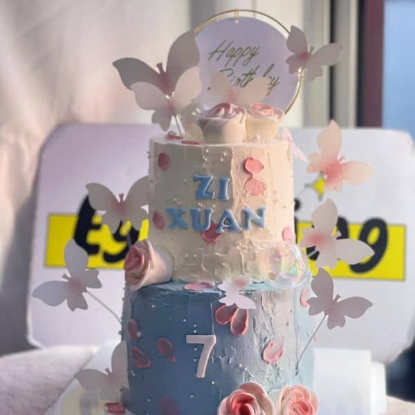 Double layer butterfly cake