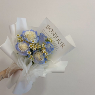 Ecuador Power Blue Rose