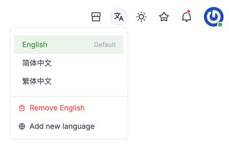 Multi-Language — Selector, company name & extras