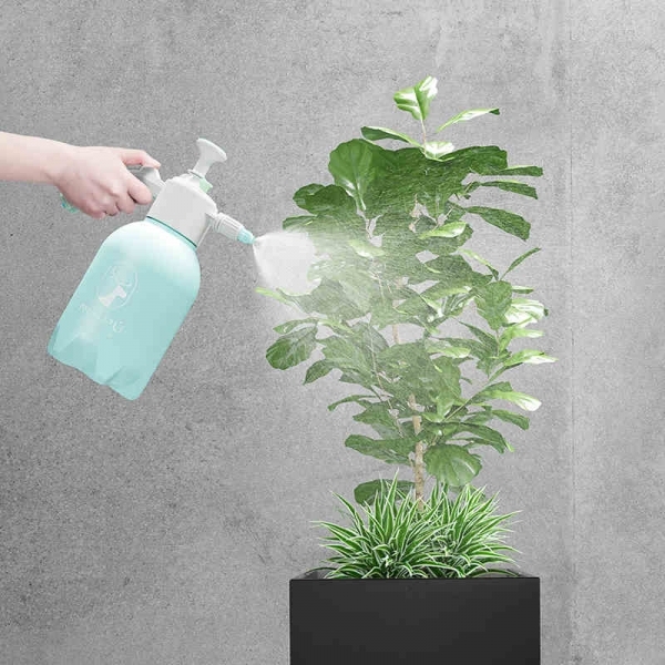 Mini Pressure Sprayer