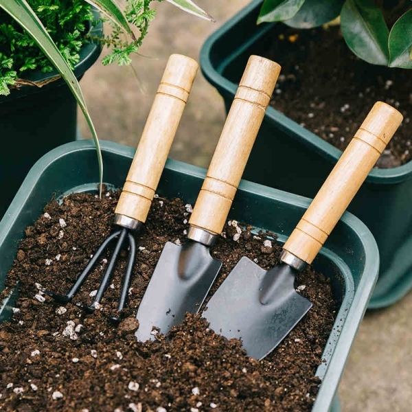 Premium Gardening Trio